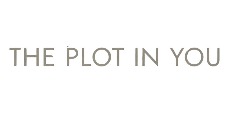 The Plot In You Merch